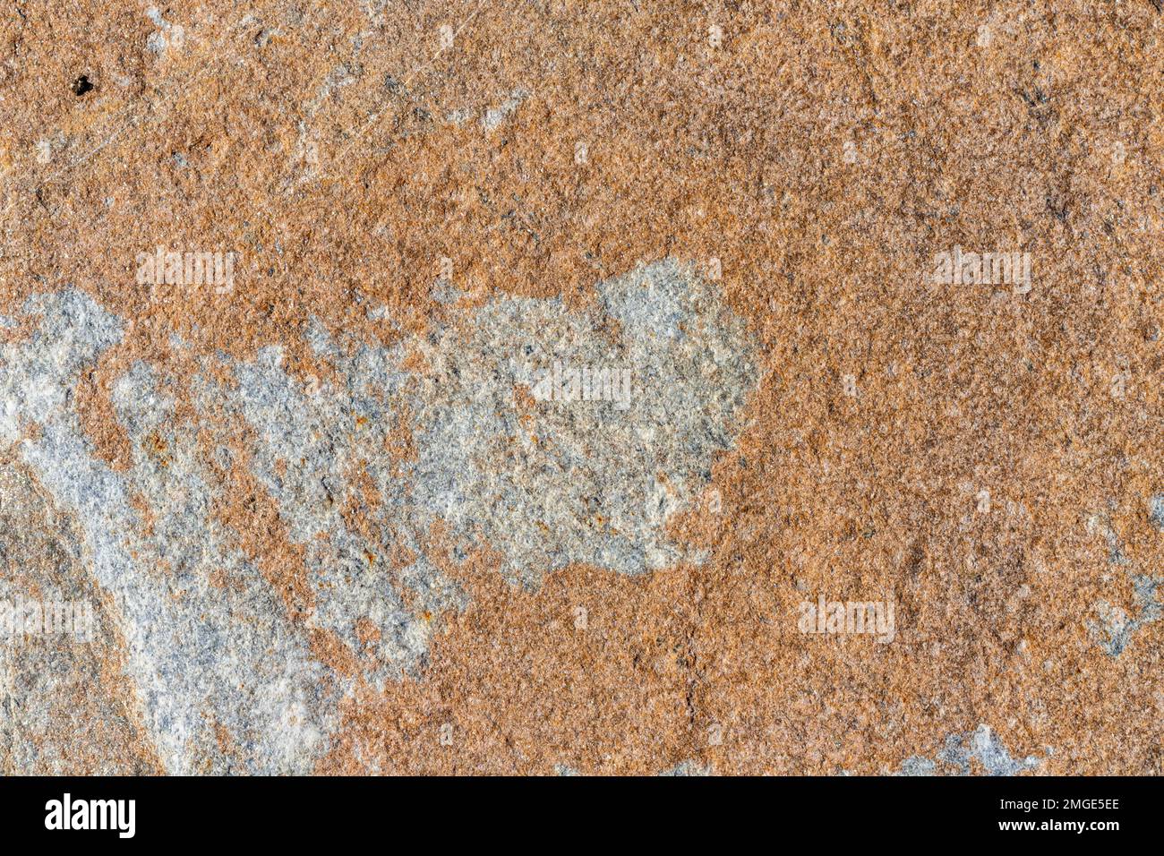 https://c8.alamy.com/comp/2MGE5EE/stone-surface-natural-texture-background-2MGE5EE.jpg