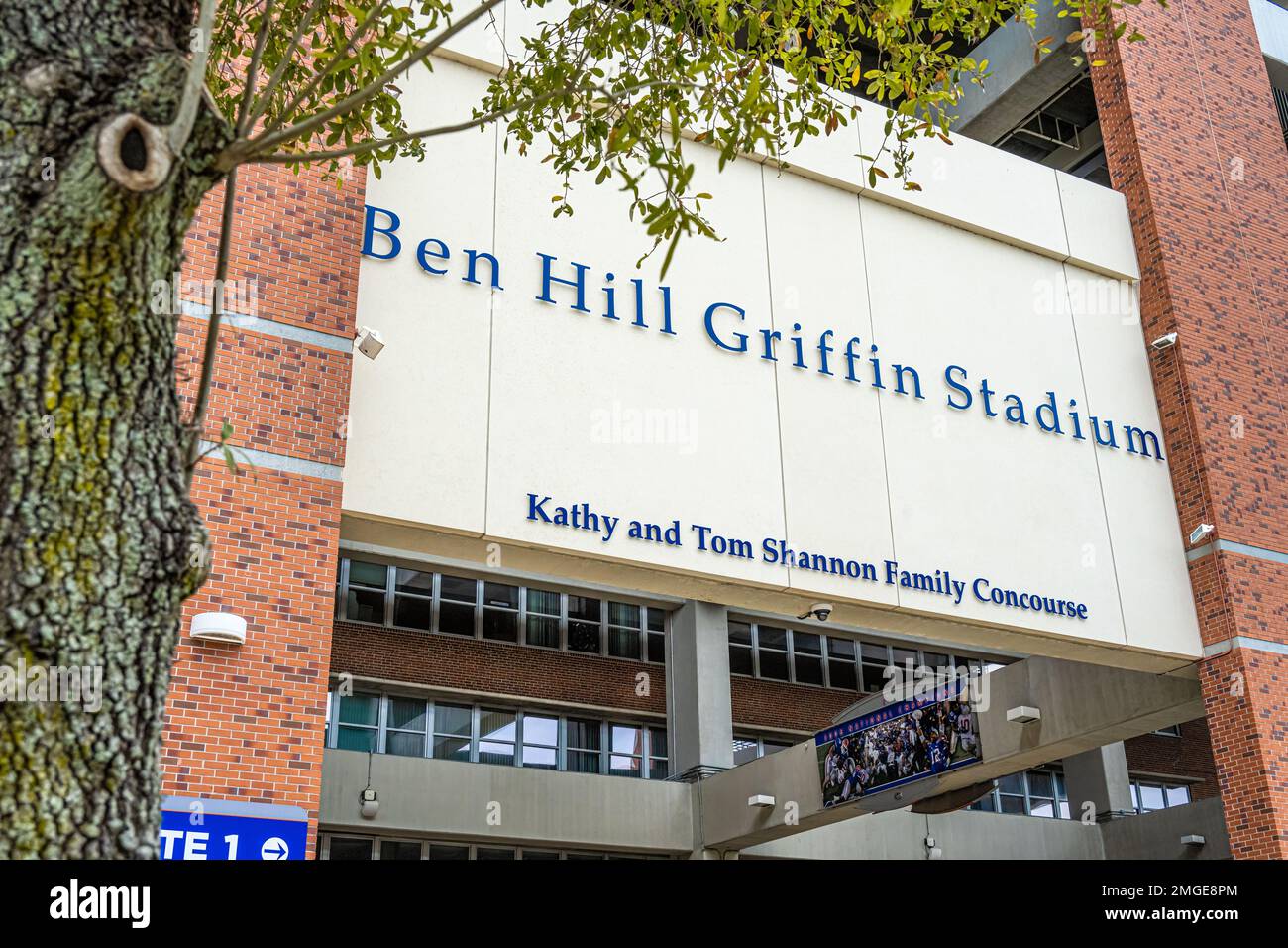 Ben Hill Griffin Stadium, also known as 'The Swamp', at the University of Florida in Gainesville, Florida. (USA) Stock Photo