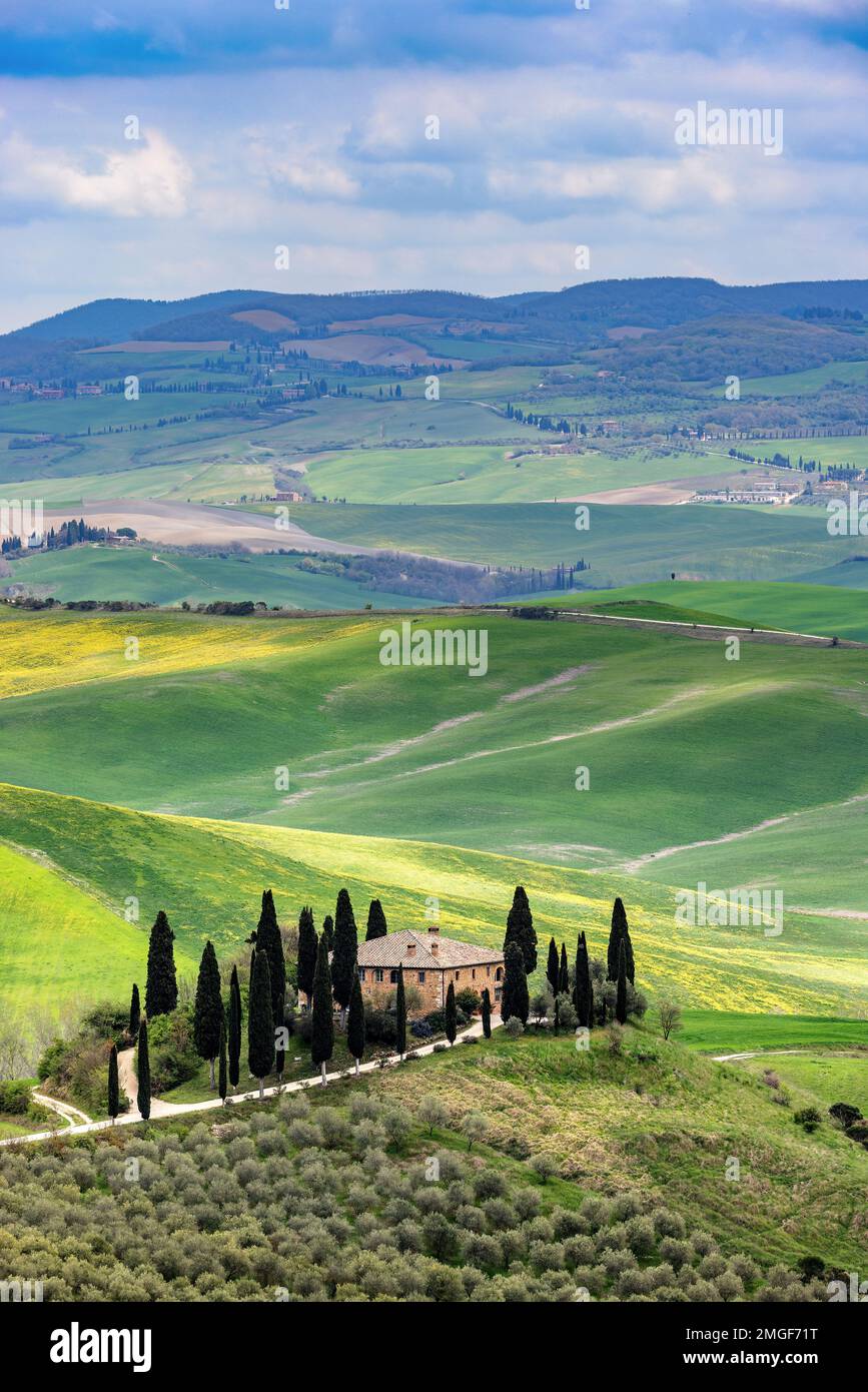 Typical landscape, house on a hill with cypress alley in spring in the ...