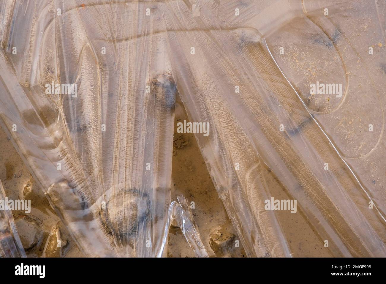 Ice pattern on a sandy beach Stock Photo