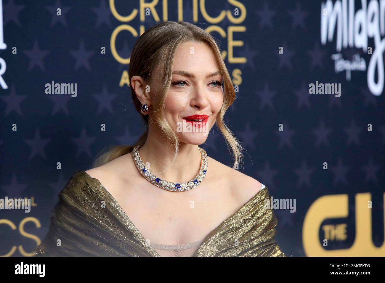 CRITICS CHOICE AWARDS 2023 AMANDA SEYFRIED SPEECH visual data 4
