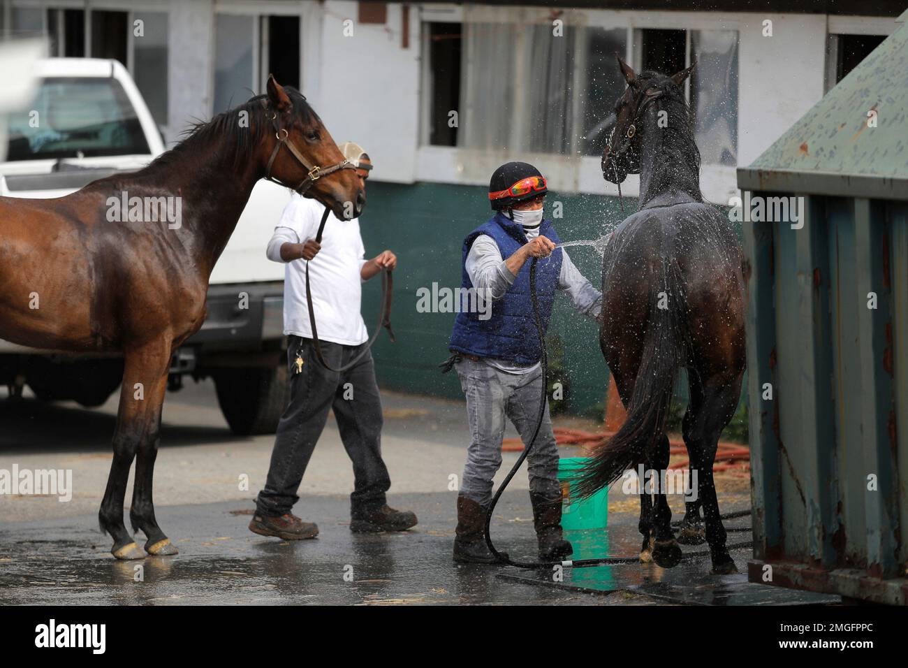 An exercise rider gives a bath to a horse at Pimlico Race Course ...
