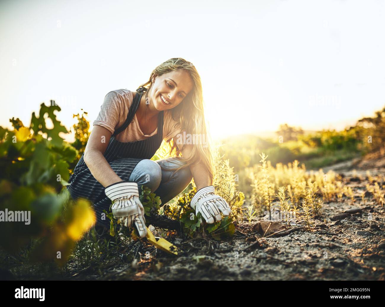 Its hard not to be happy when youre farming. a young woman tending to the crops on a farm. Stock Photo