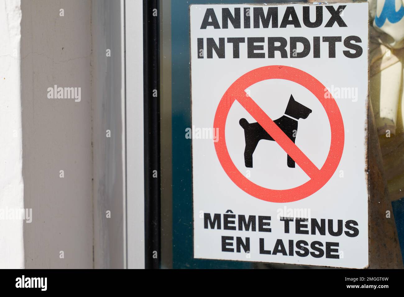 Prohibiting red signs animals prohibited even on a leash dog sign ...
