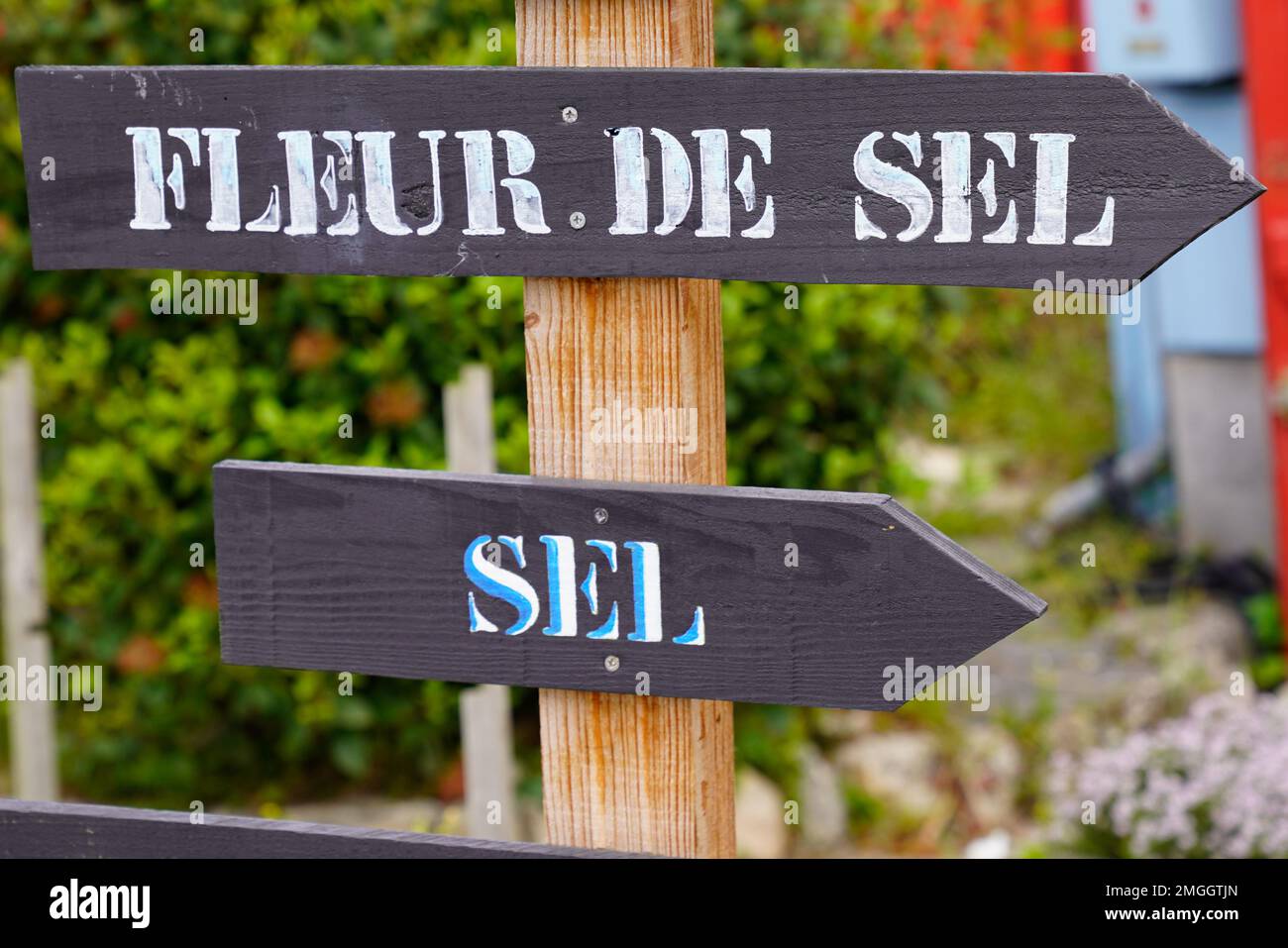 fleur de sel french text panel sign arrow means flower of salt sea