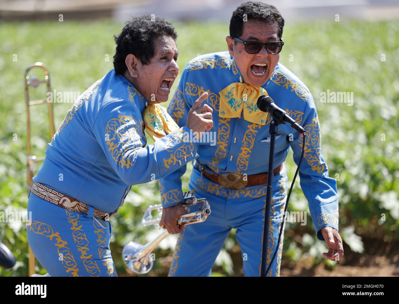 Brothers Alberto, left, and David Mora-Arriaga perform along with their students in the Homestead-Miami Mariachi Conservatory in an okra field for Altísimo Live!, a livestreamed Latin music and pop culture festival celebrating farmworkers' contributions during the COVID-19 pandemic, Tuesday, May 5, 2020, on a farm in Homestead, Fla. (AP Photo/Wilfredo Lee) Stock Photo