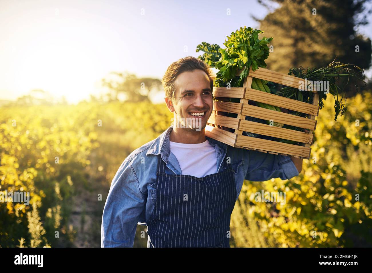 Carrying a fruitful load. a young man holding a crate full of freshly