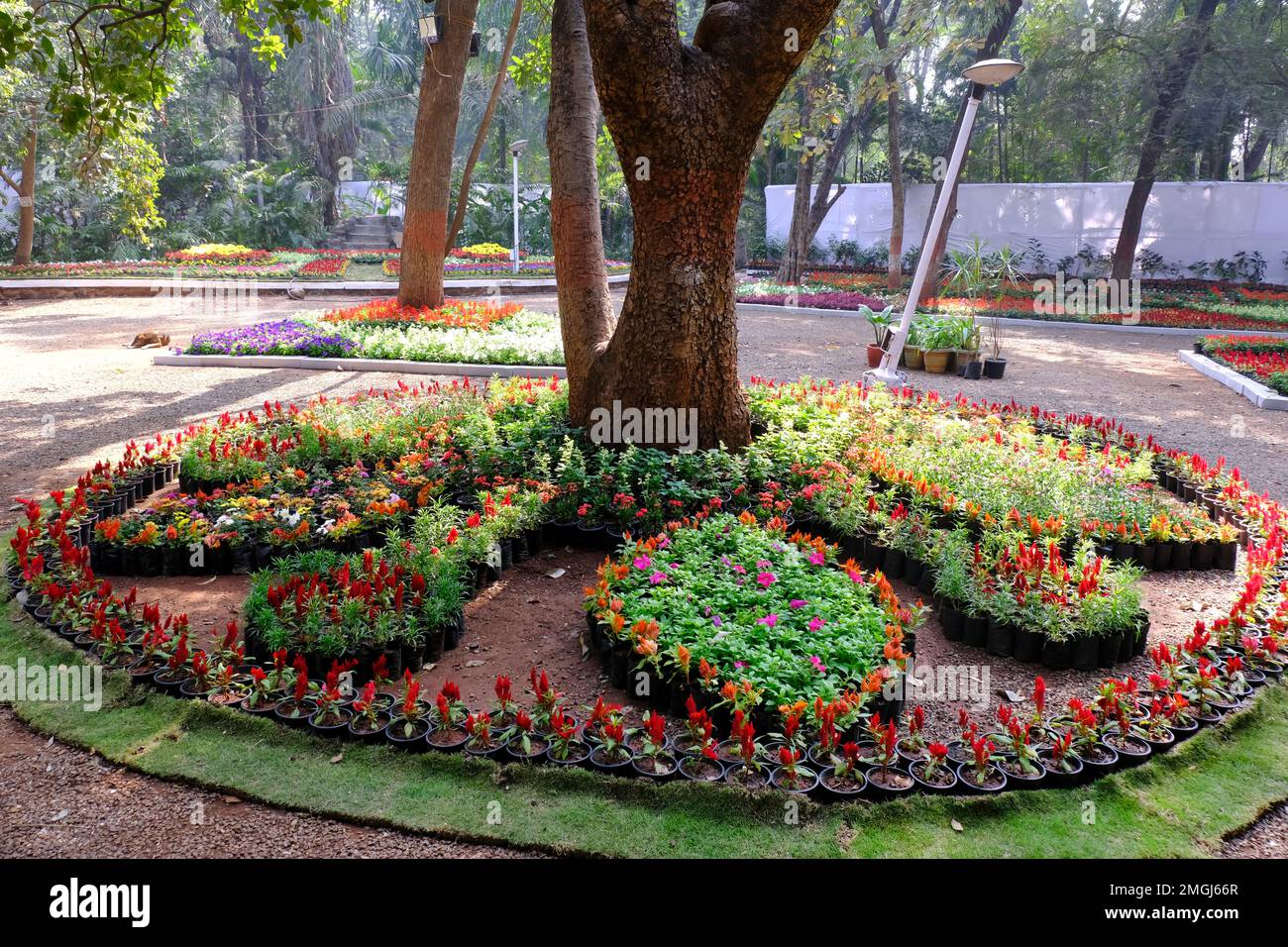 25 January 2023, Pune, India, The empress Botanical Garden during