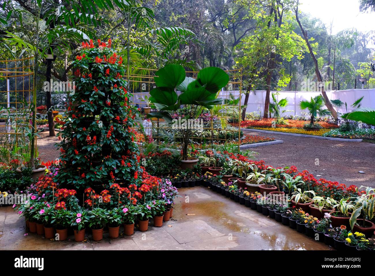 25 January 2023, Pune, India, The empress Botanical Garden during
