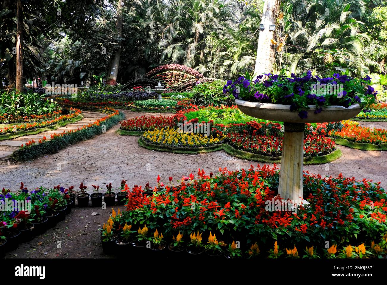 25 January 2023, Pune, India, The empress Botanical Garden during ...