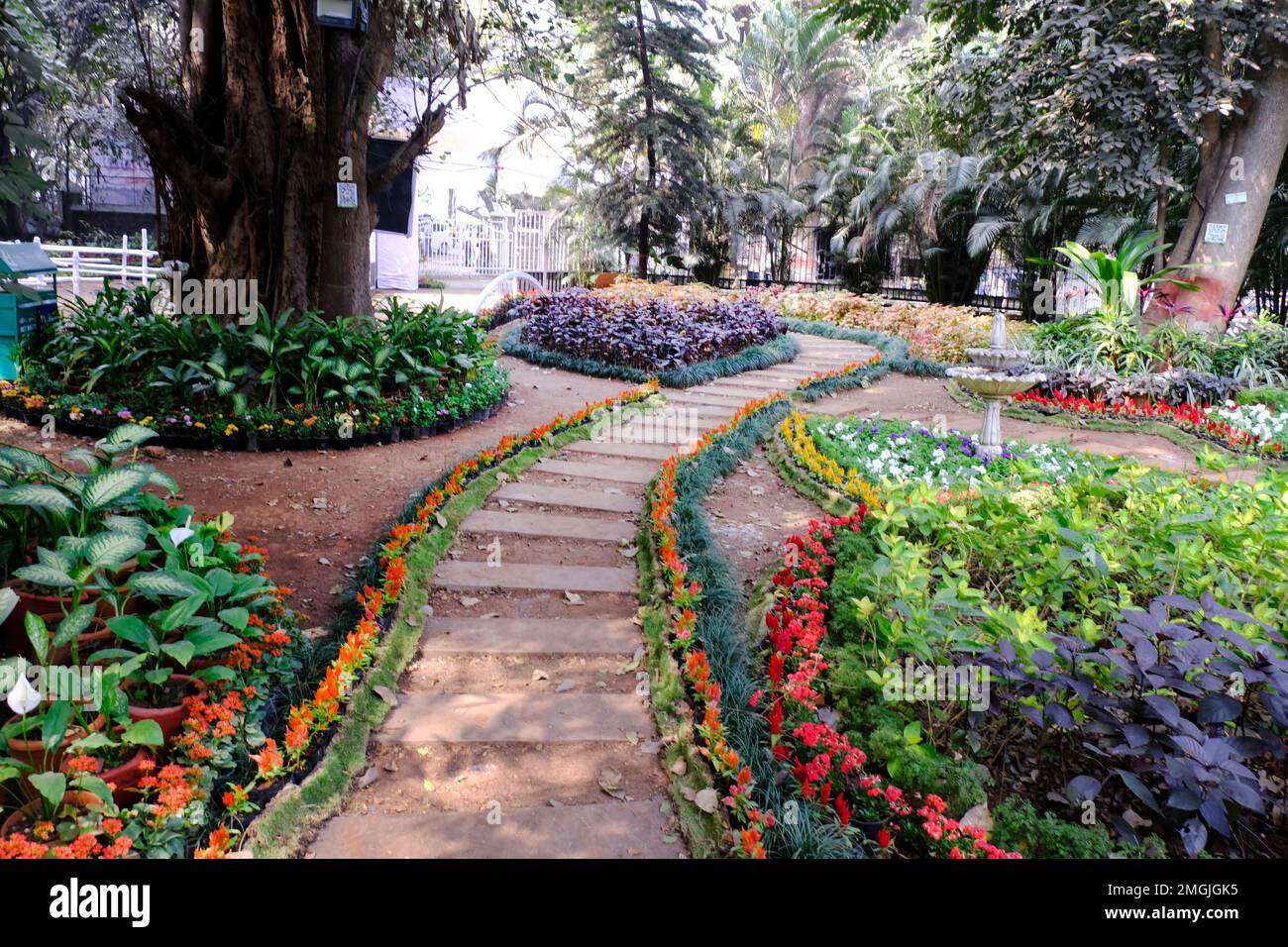 25 January 2023, Pune, India, The empress Botanical Garden during