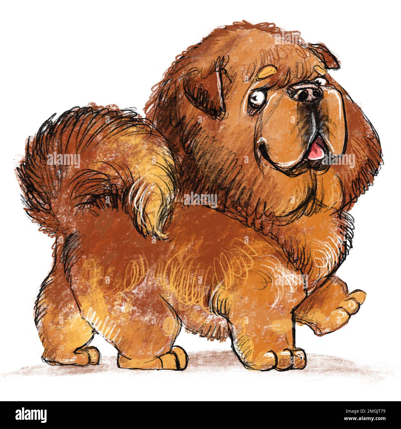 Tibetan mastiff puppy hi-res stock photography and images - Page 2 - Alamy
