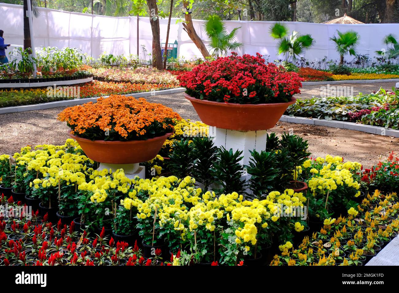 25 January 2023, Pune, India, The empress Botanical Garden during