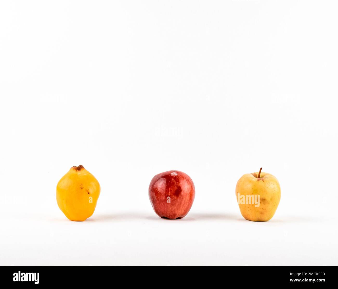 Fresh ripe yellow and red apple on white background isolated. Ripe ...