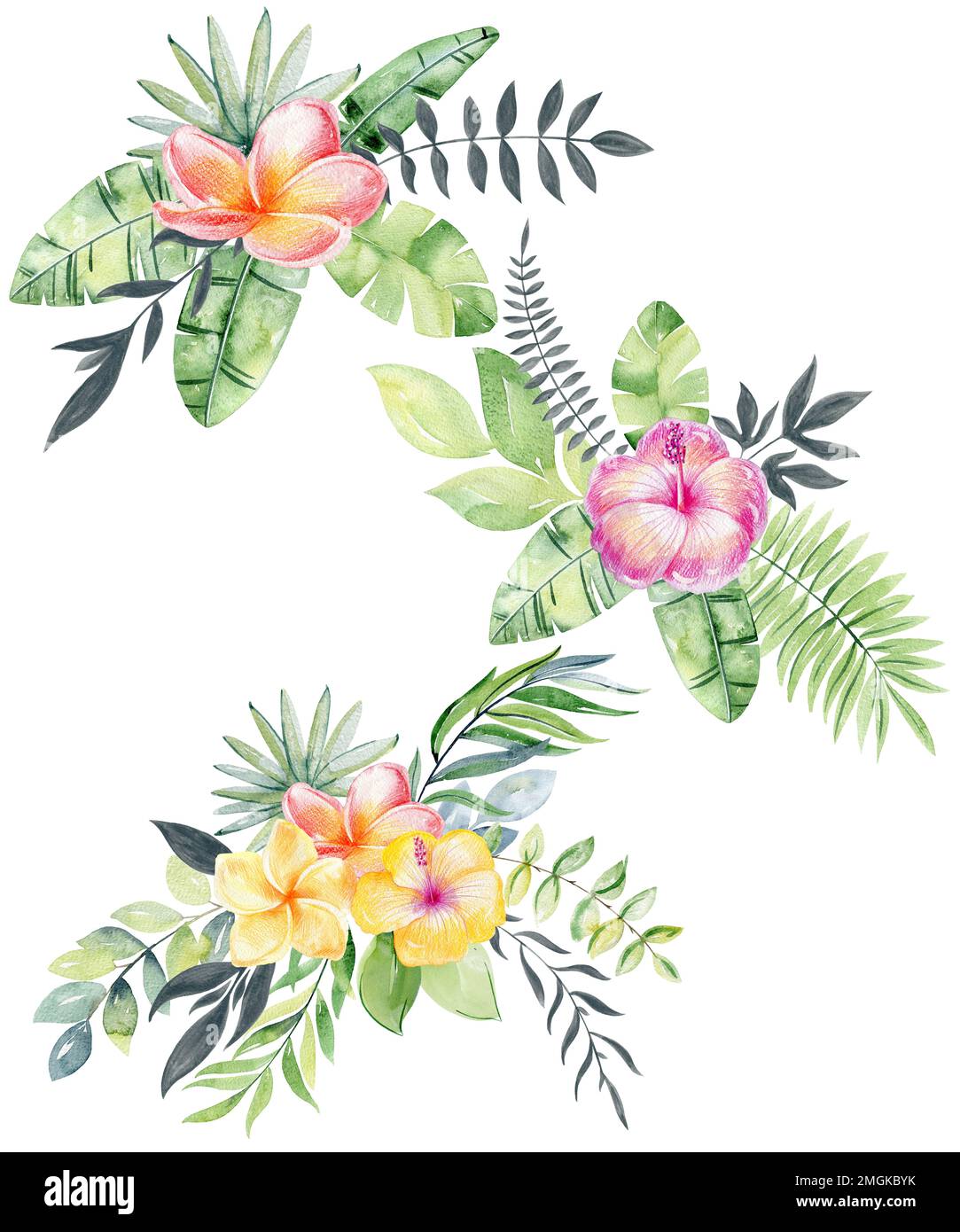 watercolor bouquets of flowers on the white background Stock Photo - Alamy