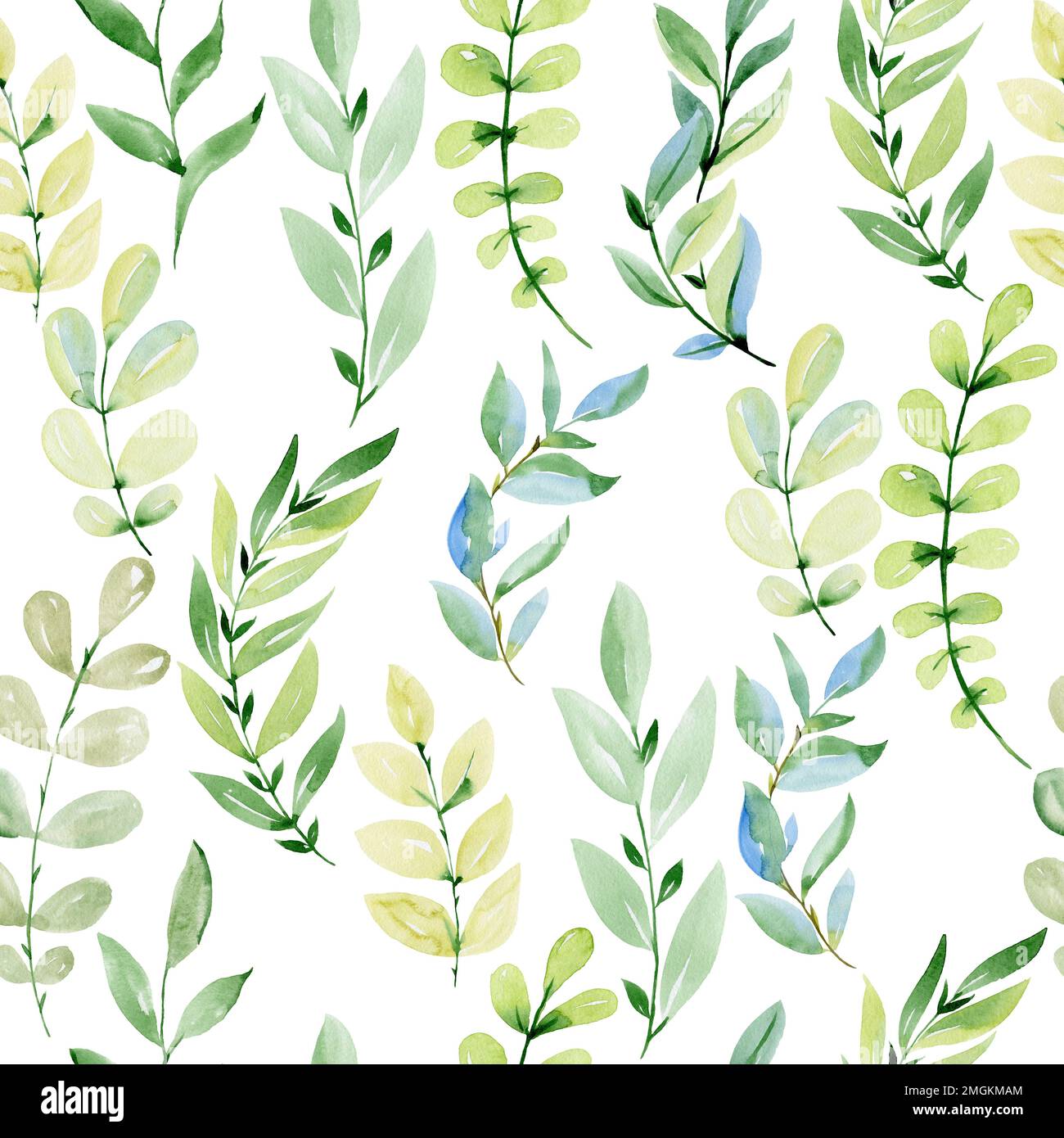 Watercolor seamless pattern with leaves on white background Stock Photo ...