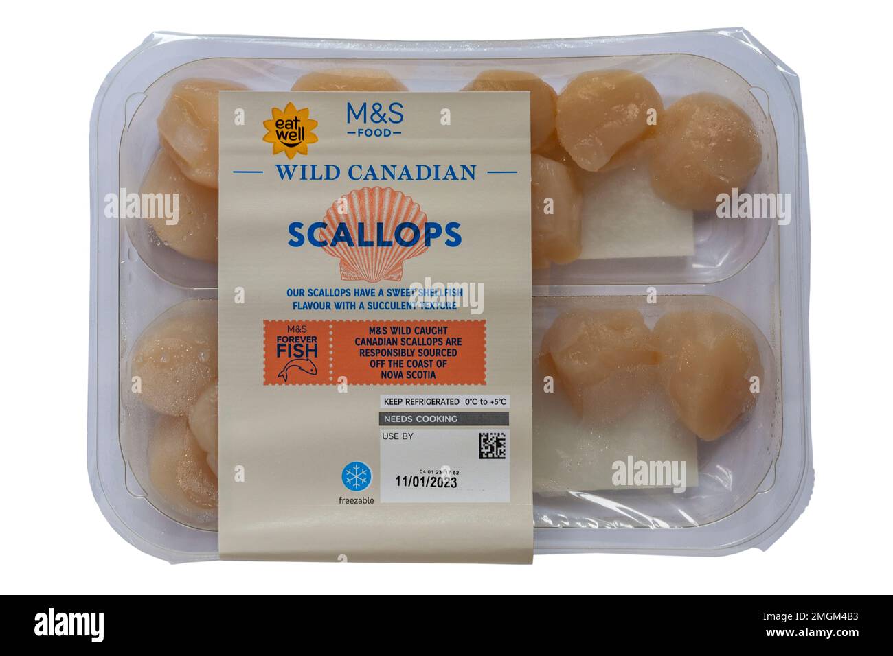 Wild Canadian Scallops placopecten magellanicus from M&S wild caught