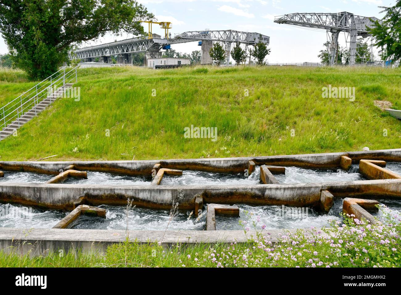 Fish ladder on the Rhine, Kembs hydroelectric power station, HautRhin