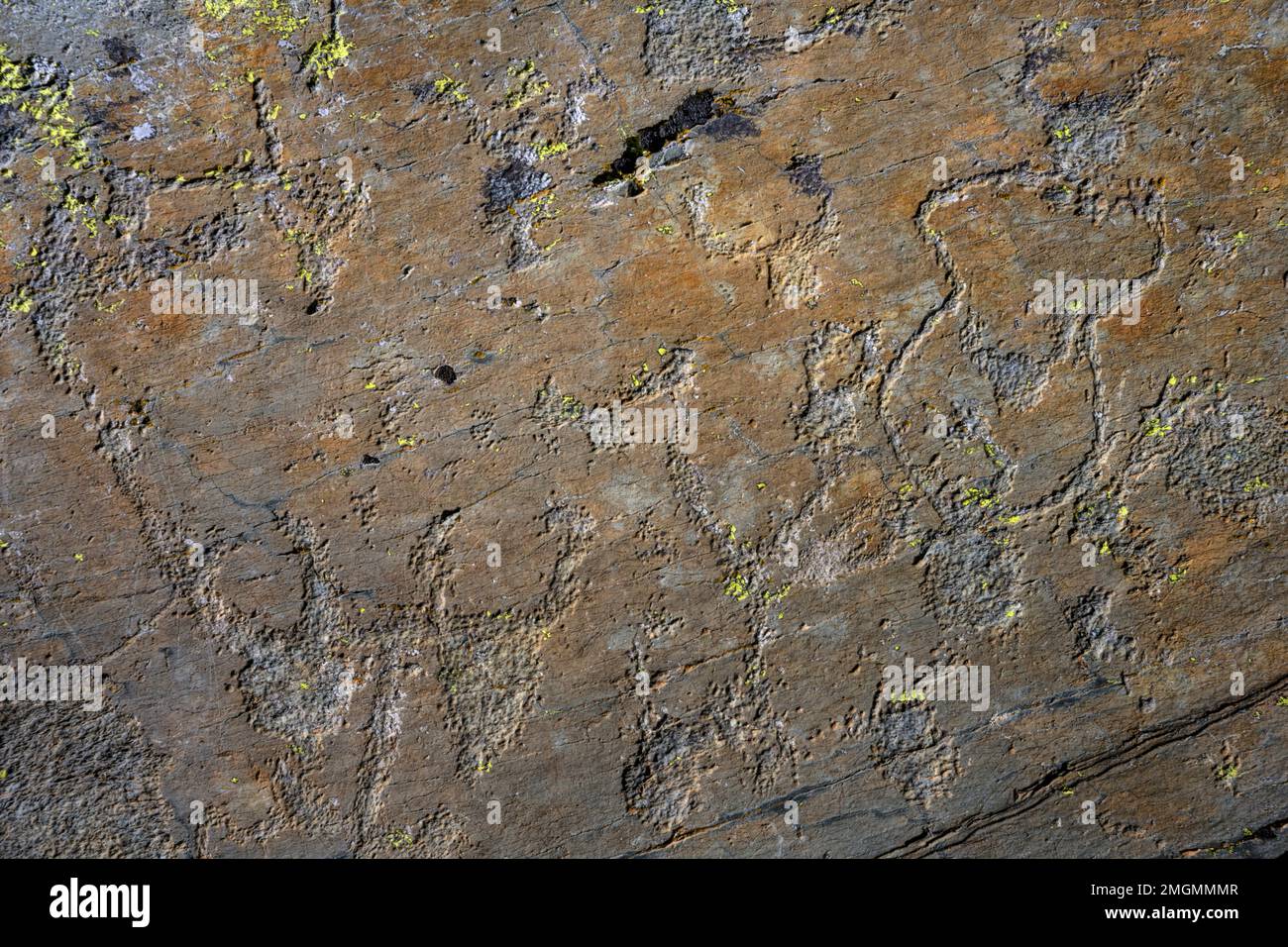 Rock engravings in the Vallon des Merveilles. Petroglyphs engraved by hammering in cupules in Permian pelites. Regulated area of Les Merveilles and Fo Stock Photo