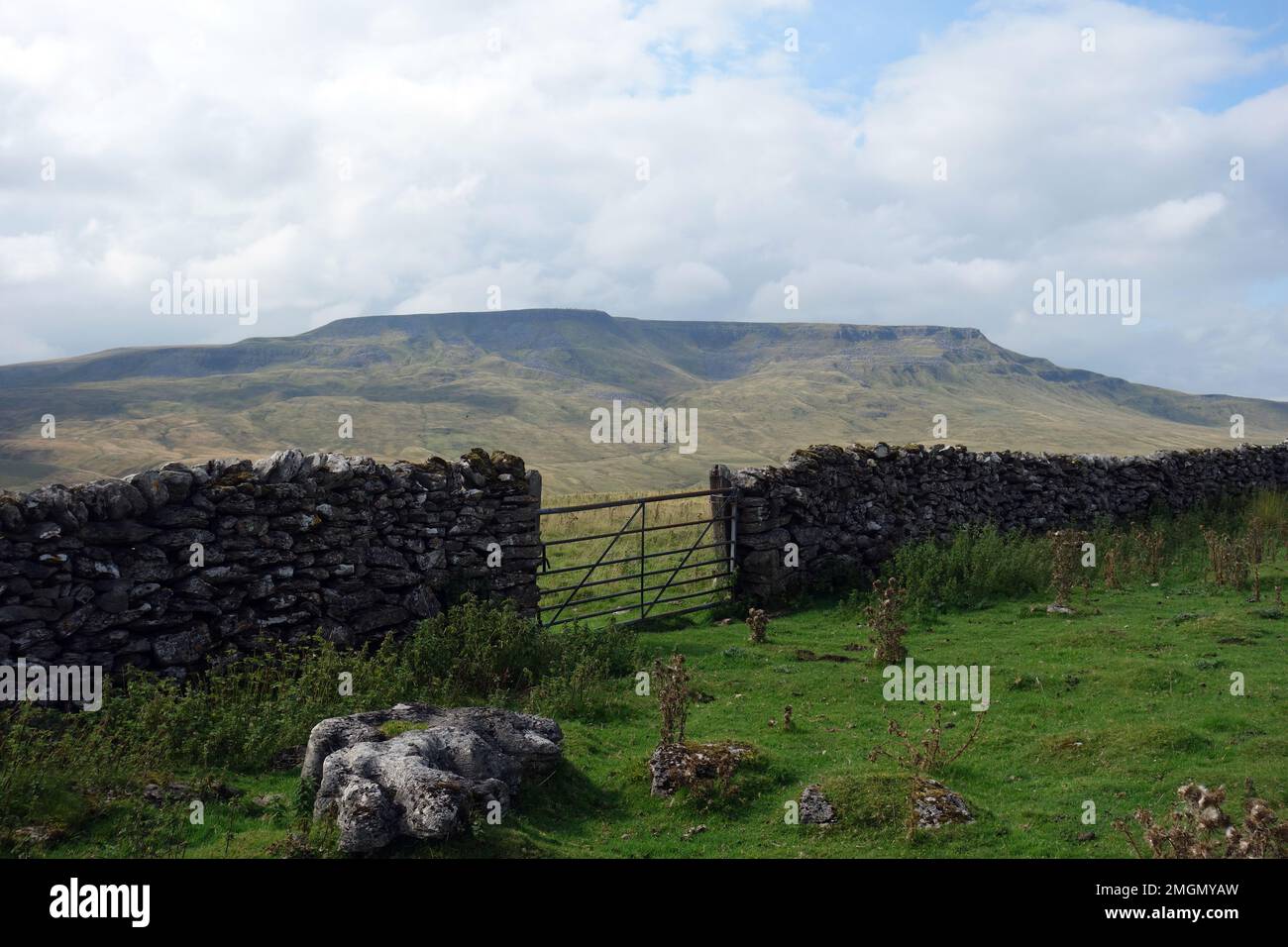 'Wild Boar Fell' from Lady Anne Clifford's Highway (Bridleway) on