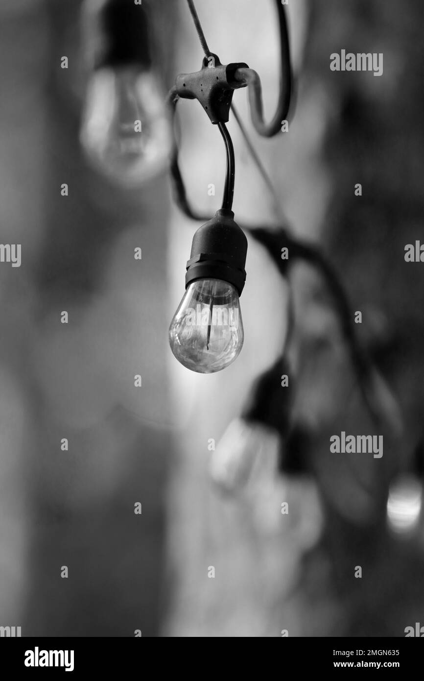 Energy light bulbs Black and White Stock Photos & Images Alamy