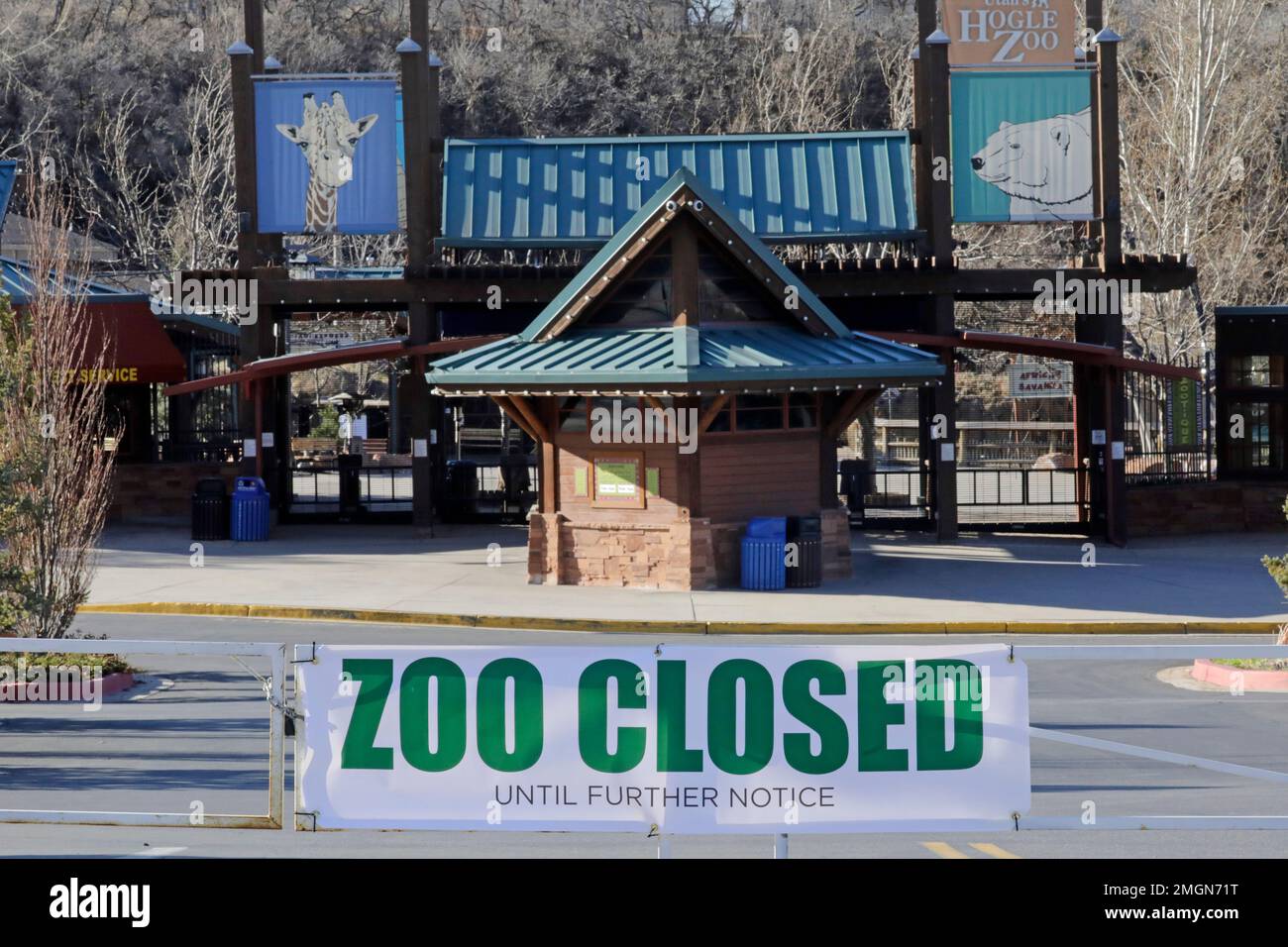 Hogle Zoo welcomes 4 young lions in new Savanna exhibit | KSL.com, image size:1300x956