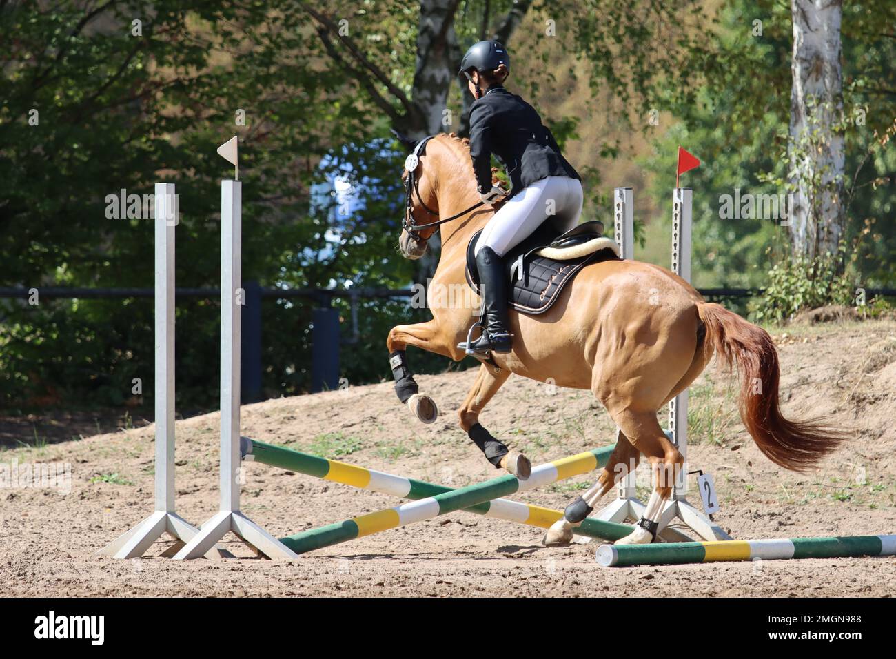 official show jumping tournaments in germany Stock Photo Alamy