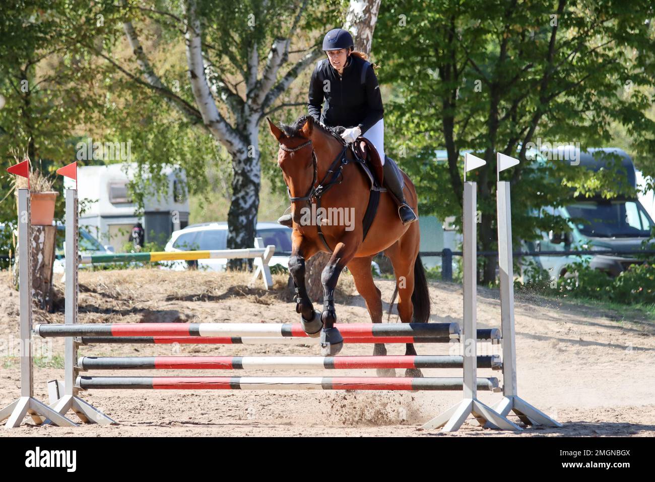 official show jumping tournaments in germany Stock Photo Alamy