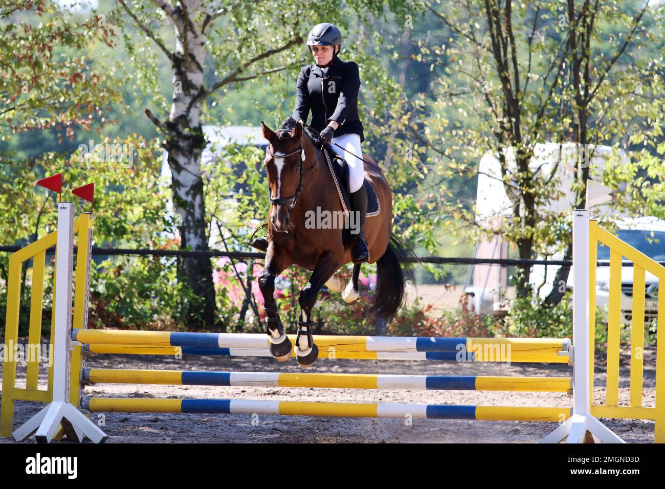 official show jumping tournaments in germany Stock Photo Alamy