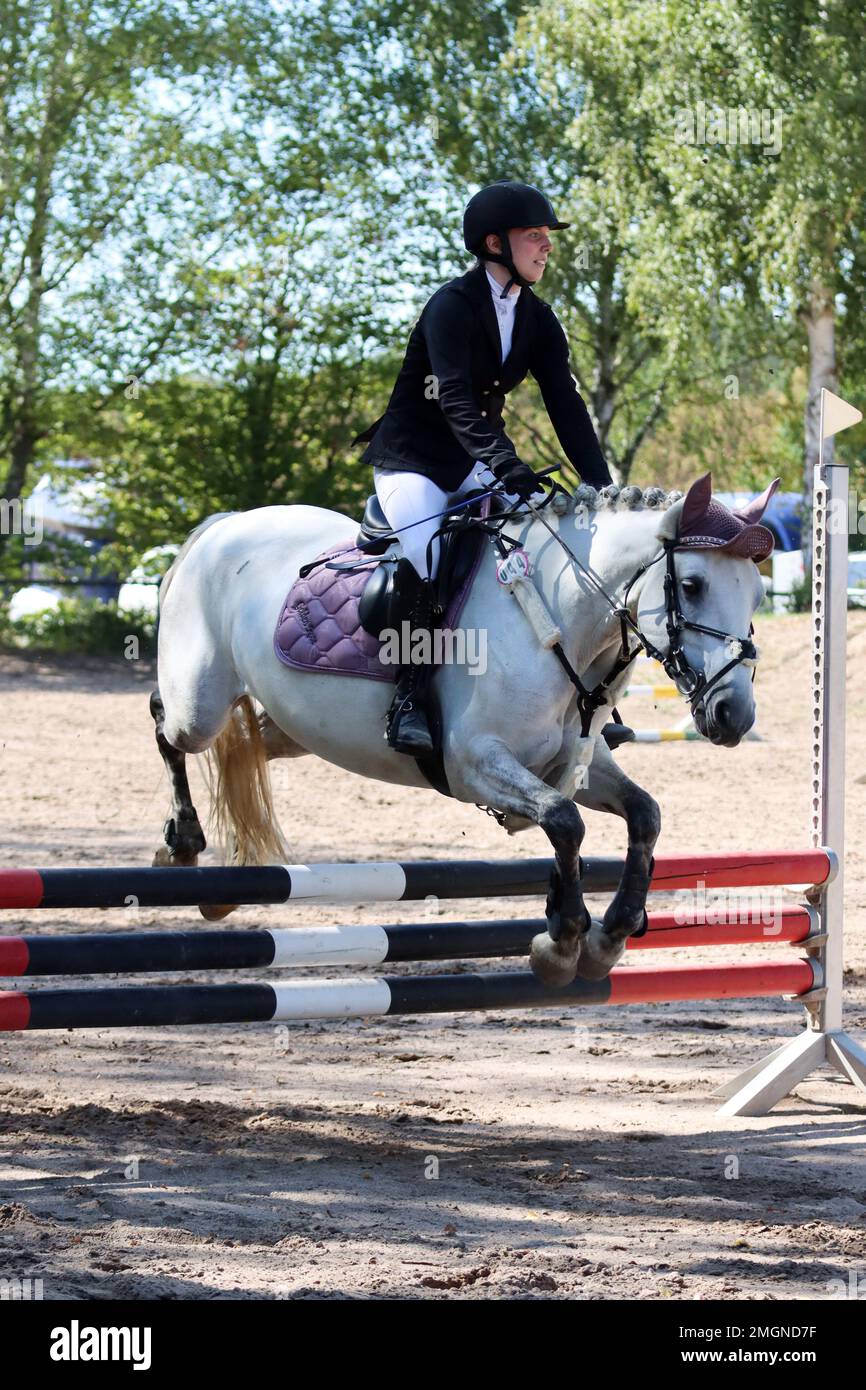 official show jumping tournaments in germany Stock Photo Alamy