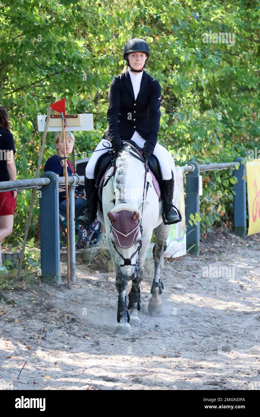 official show jumping tournaments in germany Stock Photo Alamy