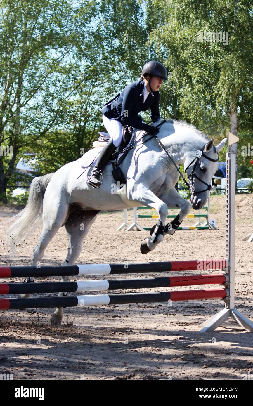 official show jumping tournaments in germany Stock Photo Alamy