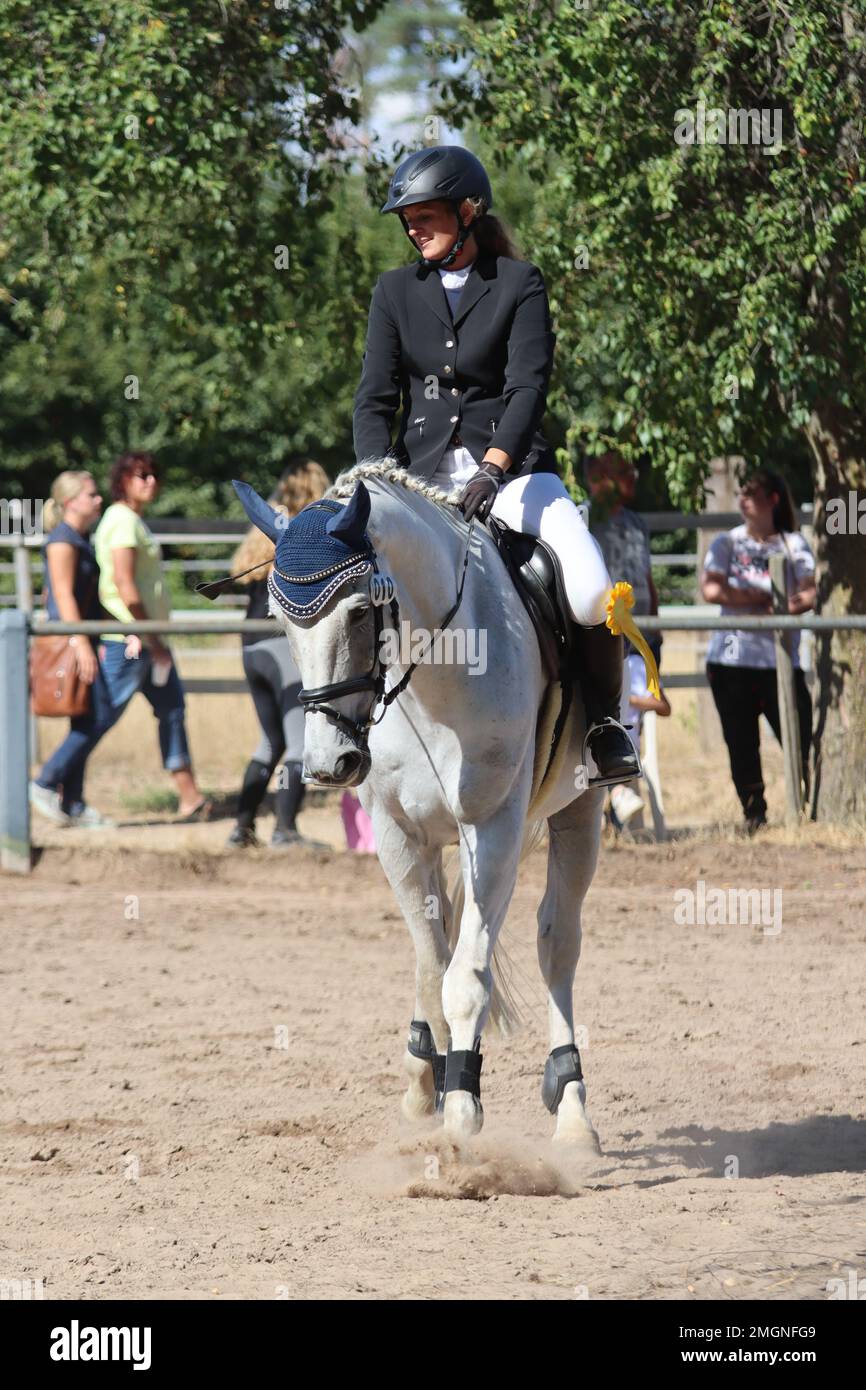official show jumping tournaments in germany Stock Photo Alamy