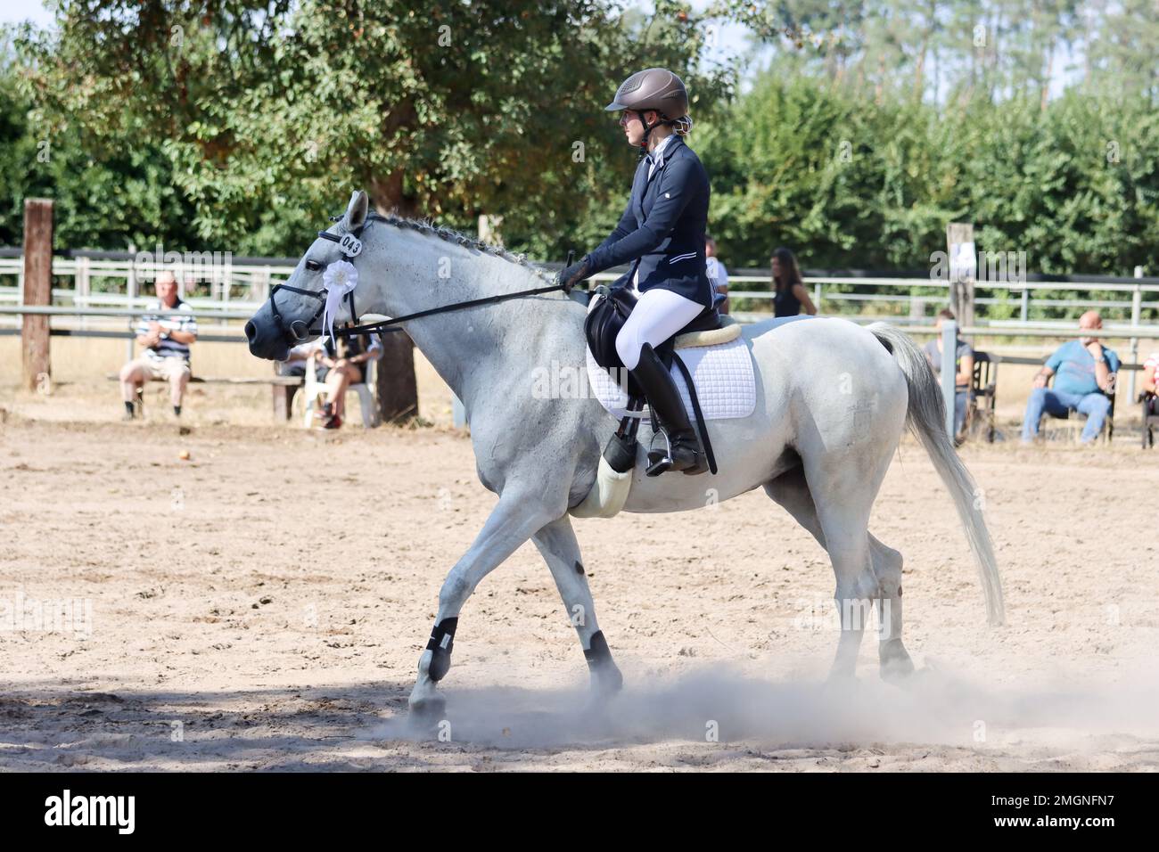 official show jumping tournaments in germany Stock Photo Alamy