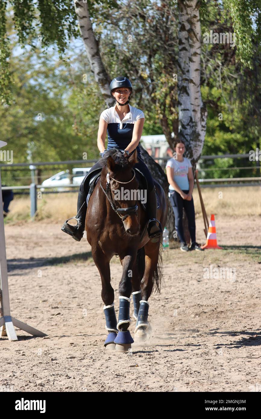 official show jumping tournaments in germany Stock Photo Alamy