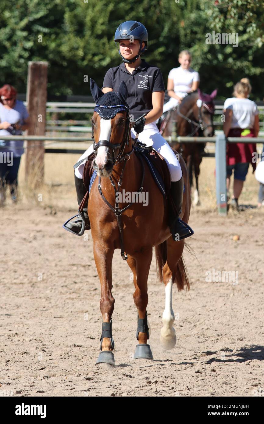 official show jumping tournaments in germany Stock Photo Alamy