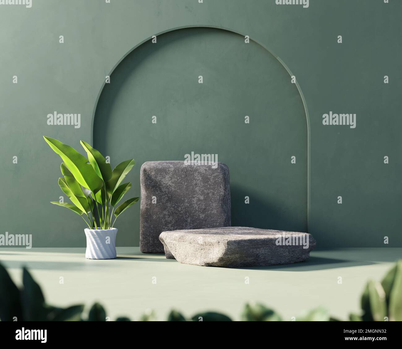 3D rendering platform podium with plant product presentation background ...
