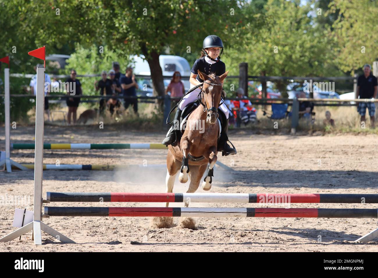 official show jumping tournaments in germany Stock Photo Alamy