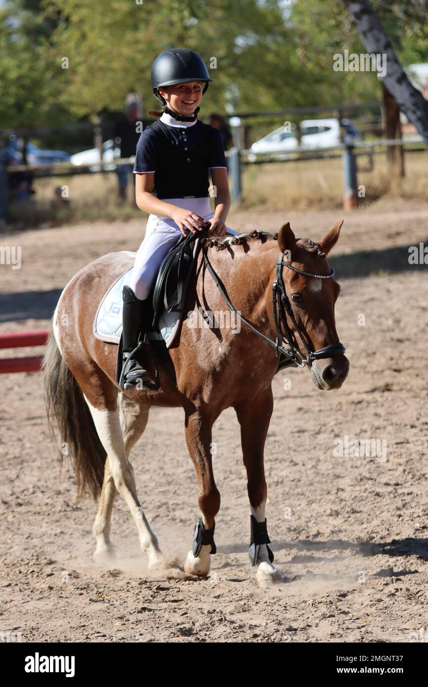 official show jumping tournaments in germany Stock Photo Alamy