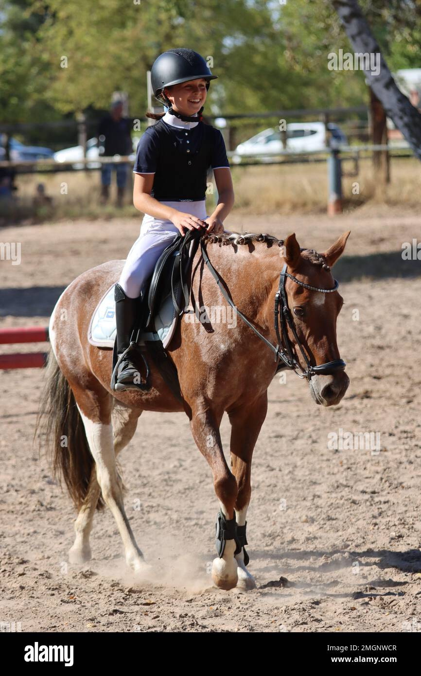 official show jumping tournaments in germany Stock Photo Alamy