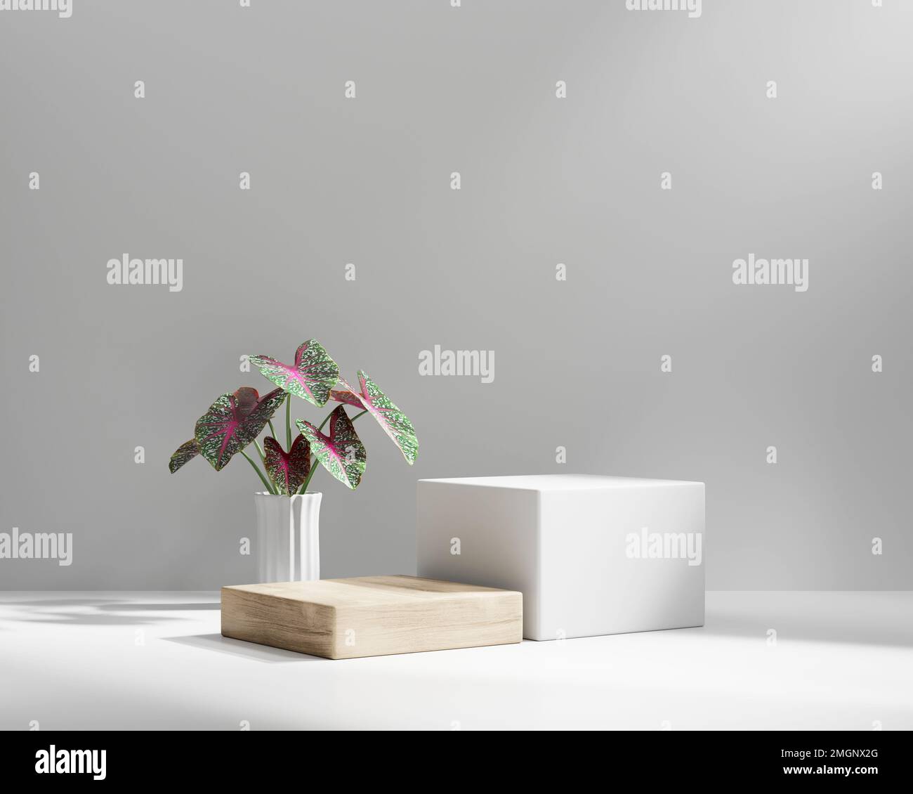 3D rendering platform podium with plant product presentation background ...