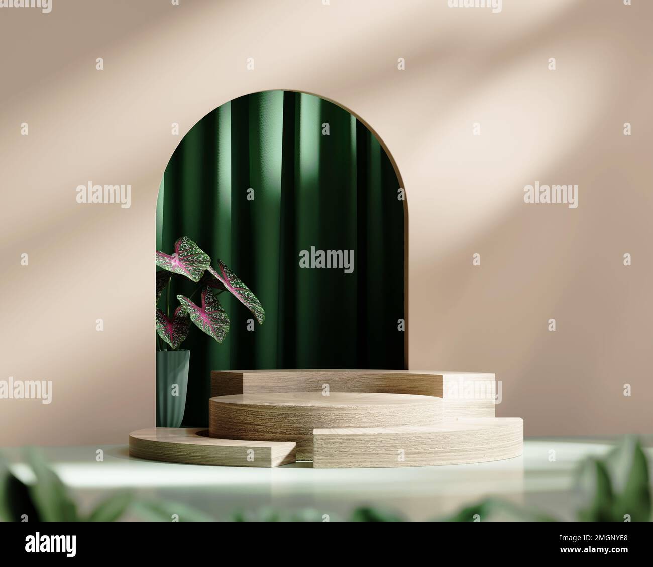 3D rendering platform podium with plant product presentation background ...
