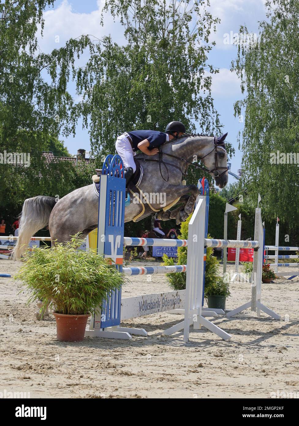 official show jumping tournaments in germany Stock Photo Alamy