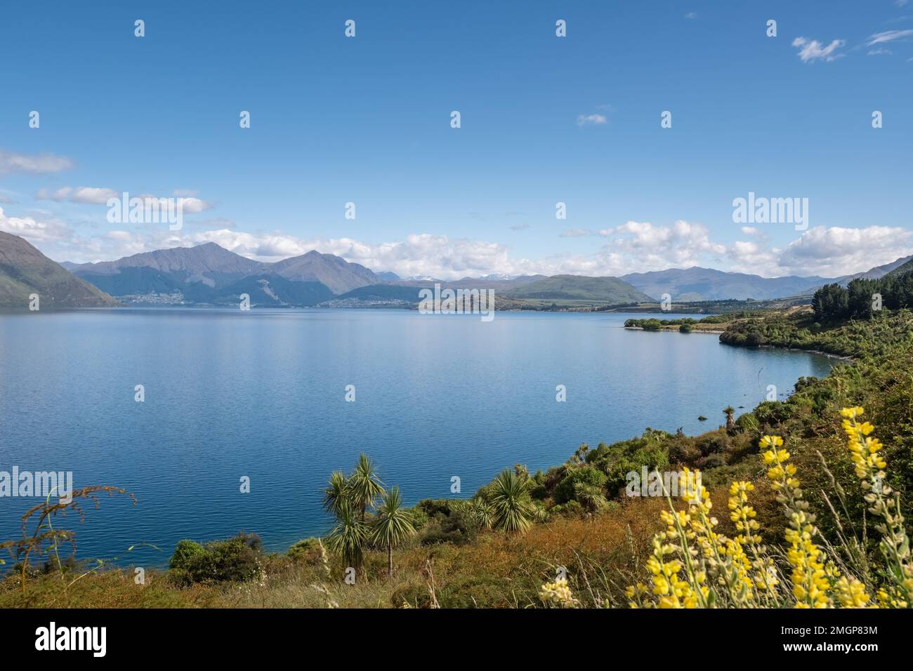 Lake Wakatipu in the South Island of New Zealand with Queenstown in the ...