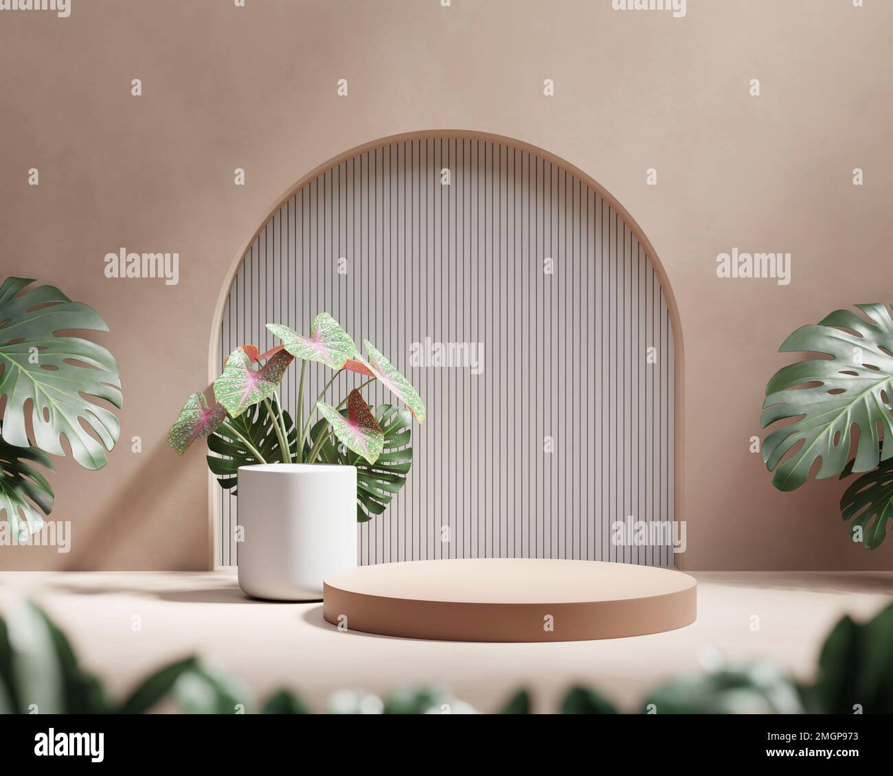 3D rendering platform podium with plant product presentation background ...