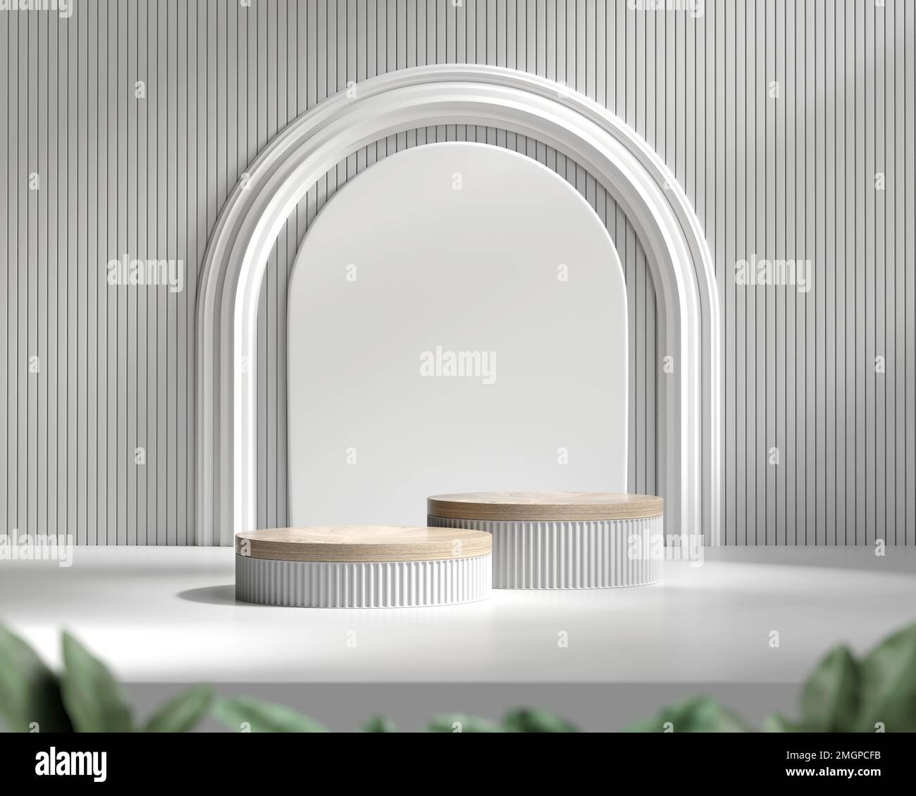 3D rendering platform podium with plant product presentation background ...