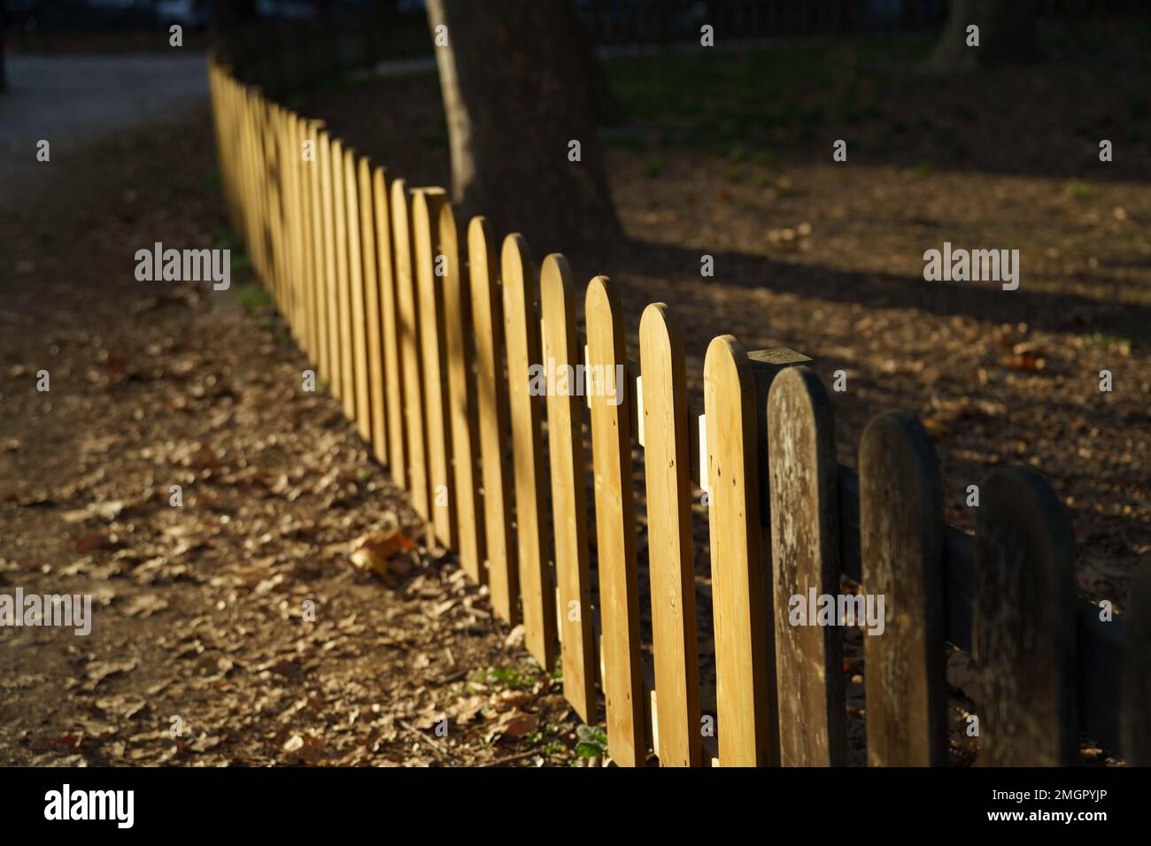 Wooden fence in the Valentino Bompiani garden, Milan, Lombardy, Italy, at fall Stock Photo