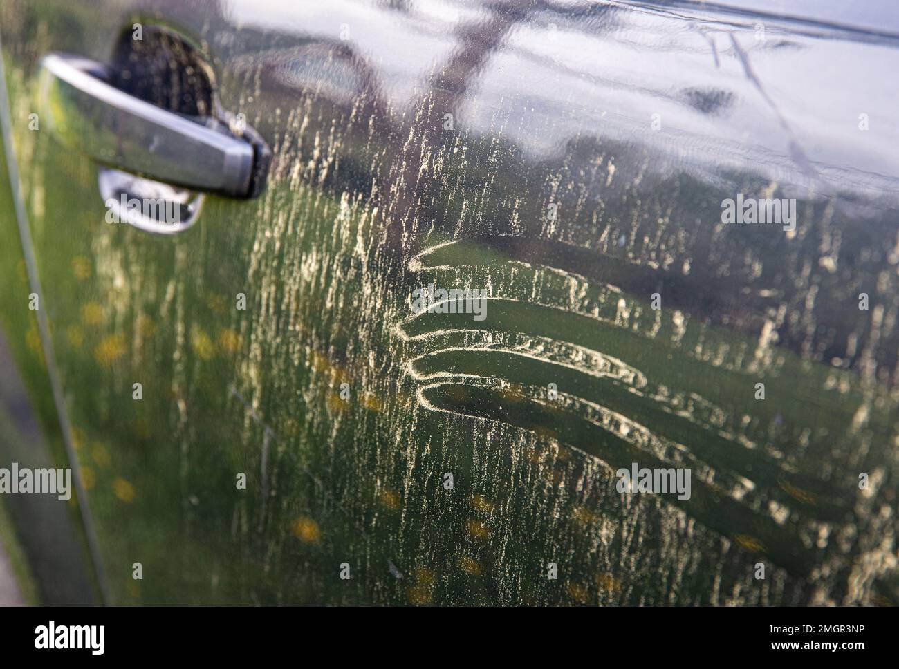 Yellow pollen grains layer on car paint. Trees and flowers pollen covering car exterior in spring, witch can damage your car's paint concept. Stock Photo