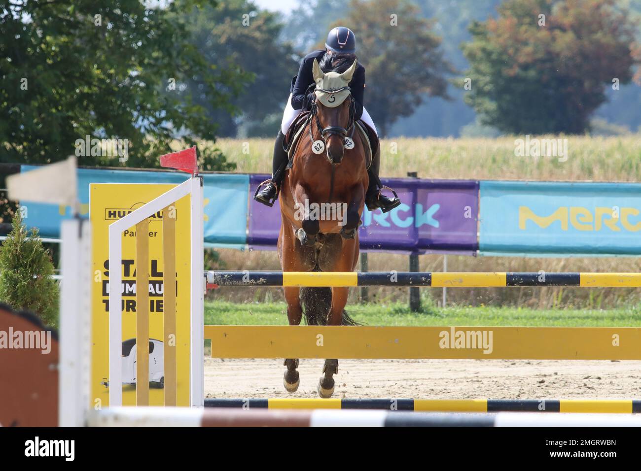 official show jumping tournaments in germany Stock Photo Alamy