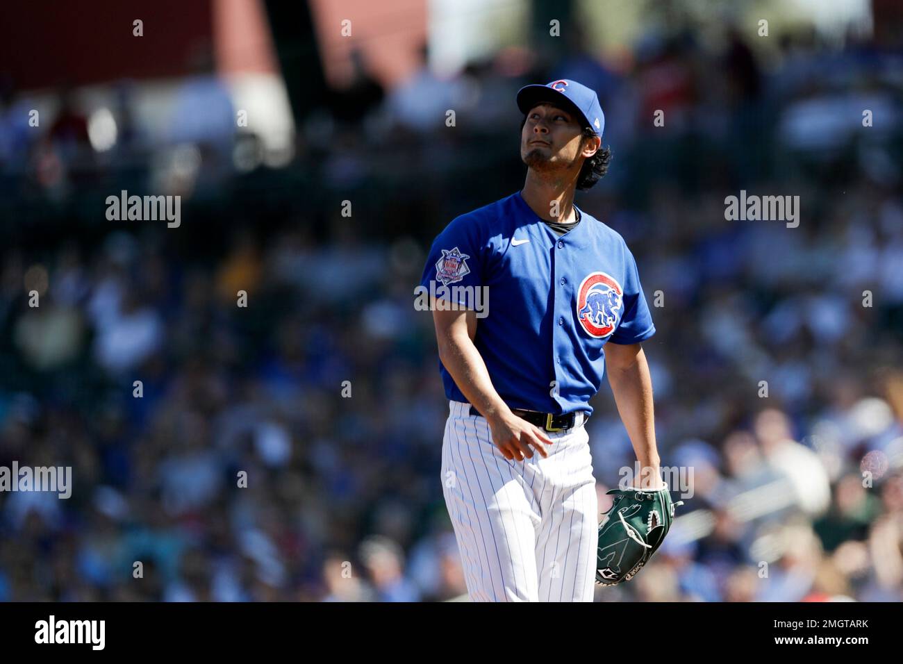 Chicago Cubs starting pitcher Yu Darvish works against a Milwaukee Brewers  batter during the first inning of a spring training baseball game Saturday,  Feb. 29, 2020, in Mesa, Ariz. (AP Photo/Gregory Bull